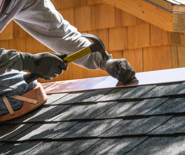 Best Roof Gutter Cleaning  in Pine Knot, KY